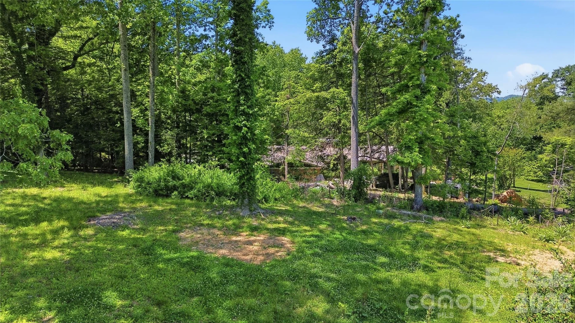 207 Wood Dale Drive - Photo 46