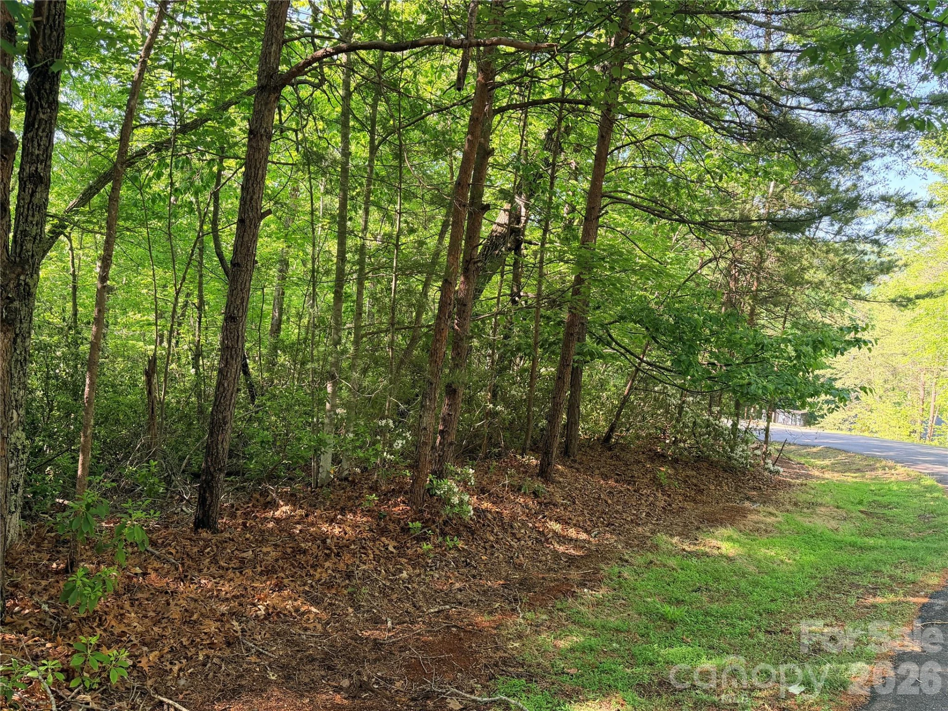 0 Mcdaniel Court - Photo 2