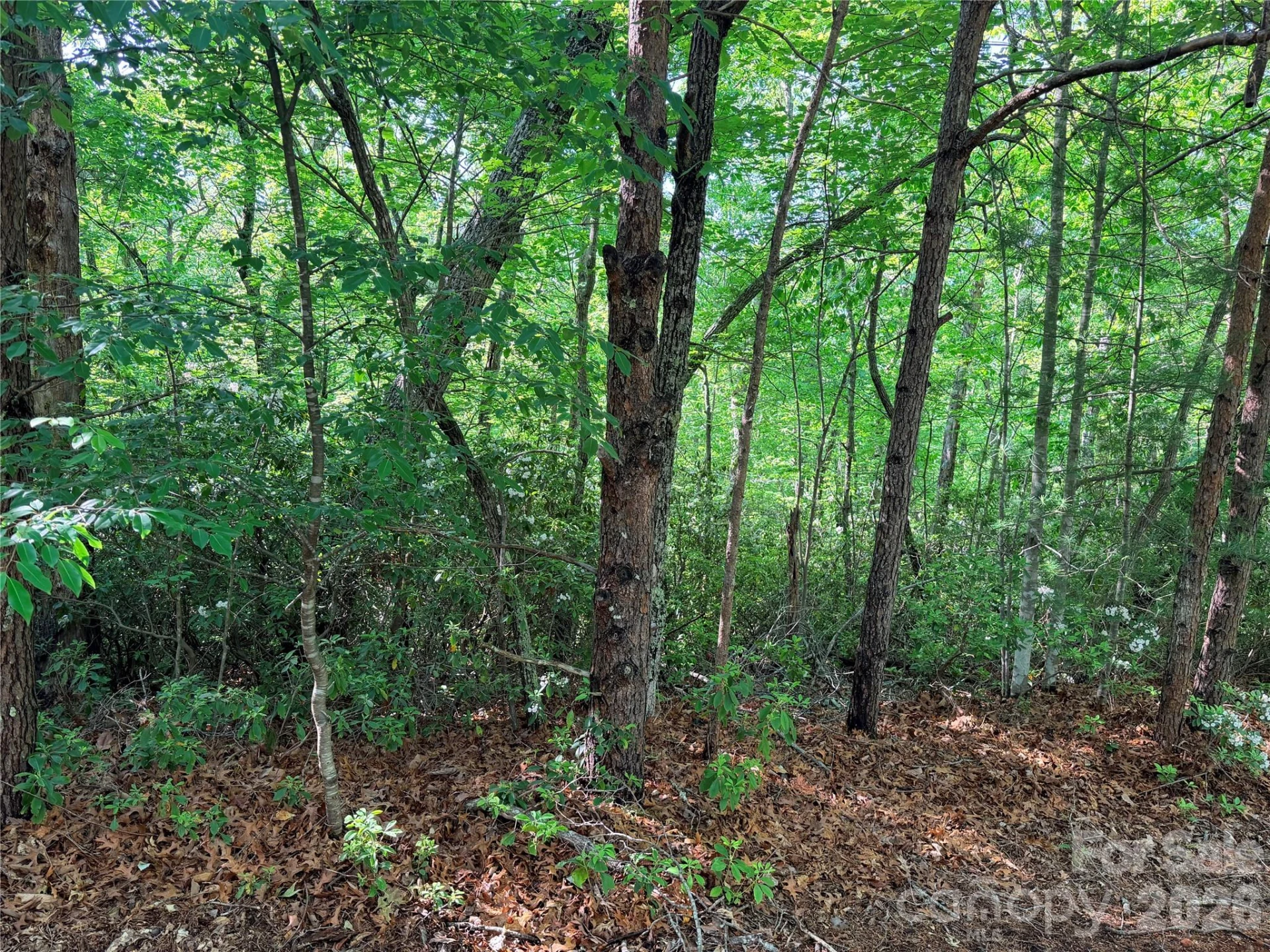 0 Mcdaniel Court - Photo 3