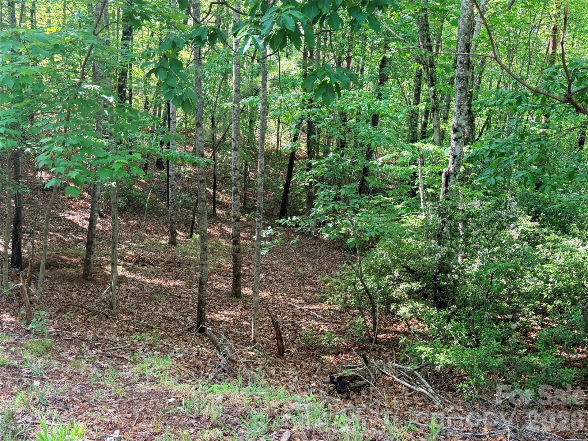 0 Mcdaniel Court - Photo 4