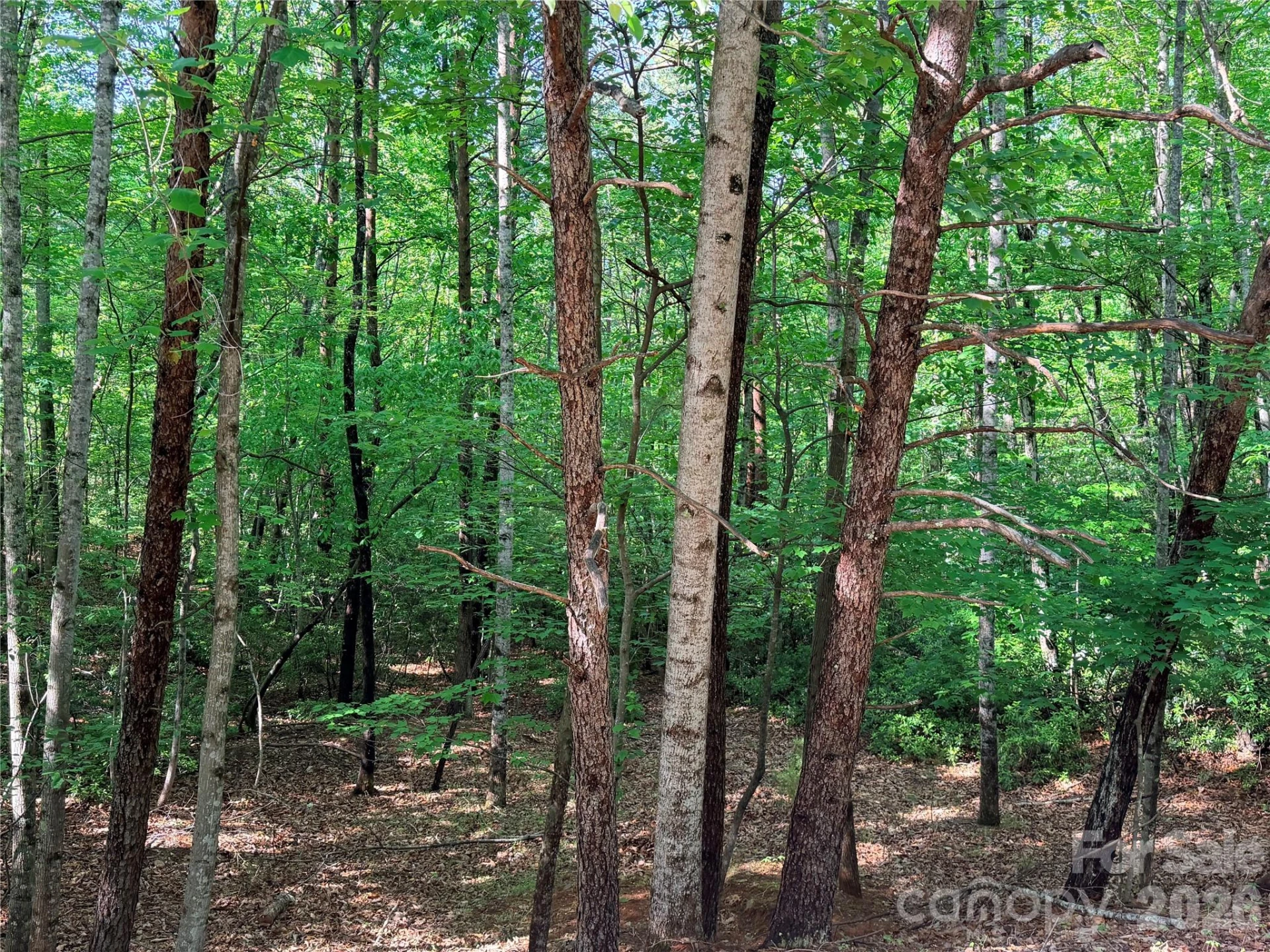0 Mcdaniel Court - Photo 5