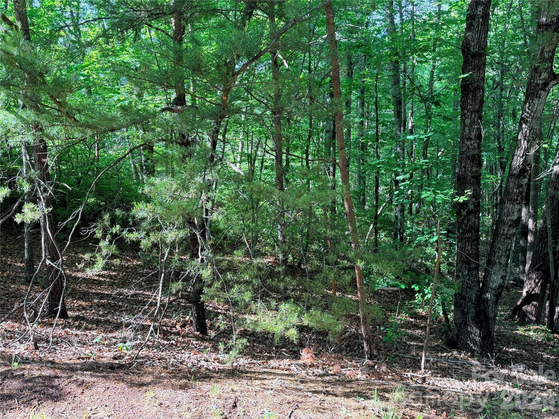 0 Mcdaniel Court - Photo 6
