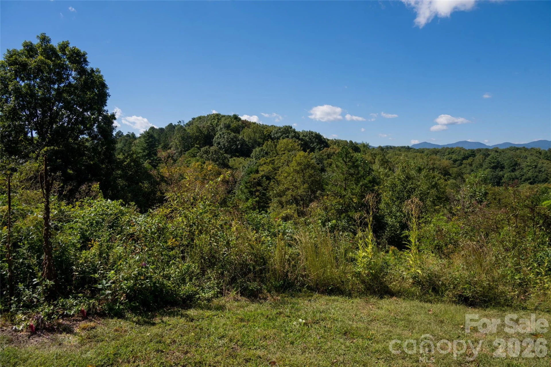 68 Sweet Fern Parkway - Photo 6