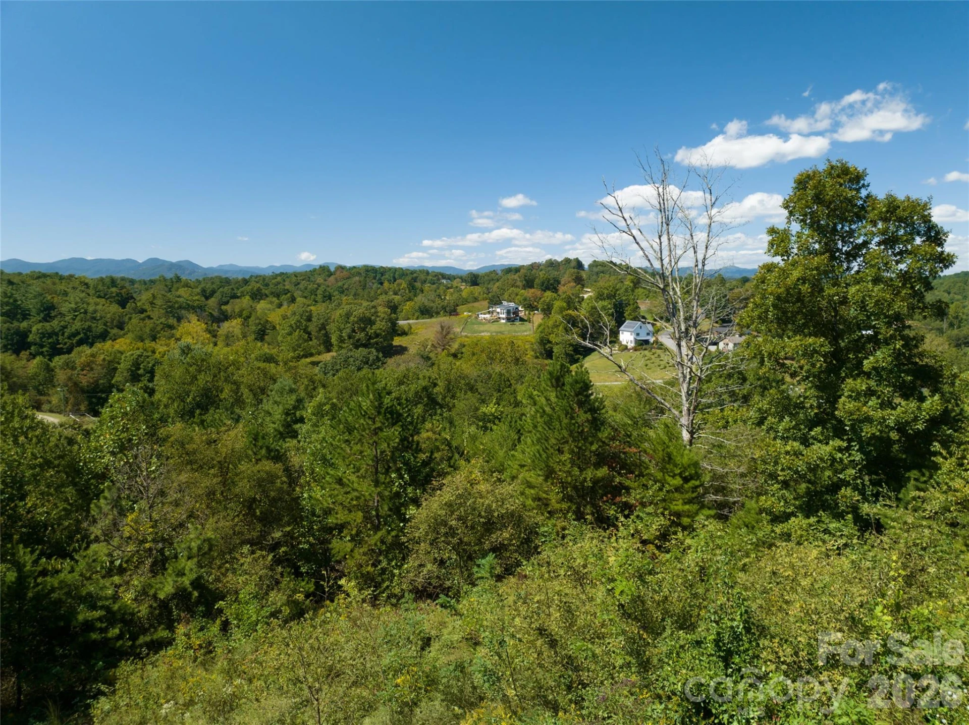 68 Sweet Fern Parkway - Photo 12