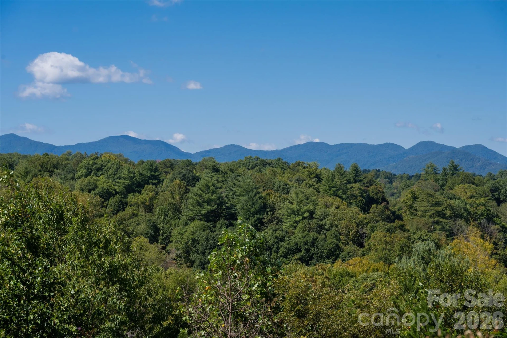 68 Sweet Fern Parkway - Photo 8