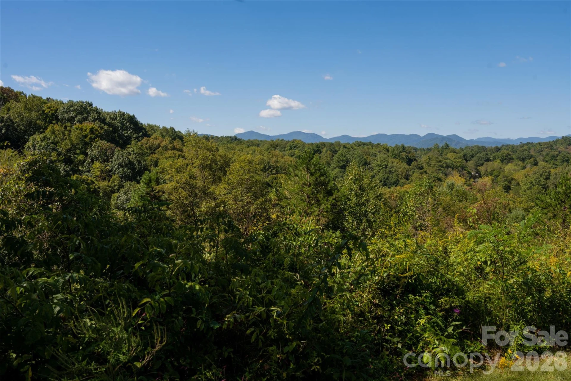 68 Sweet Fern Parkway - Photo 4