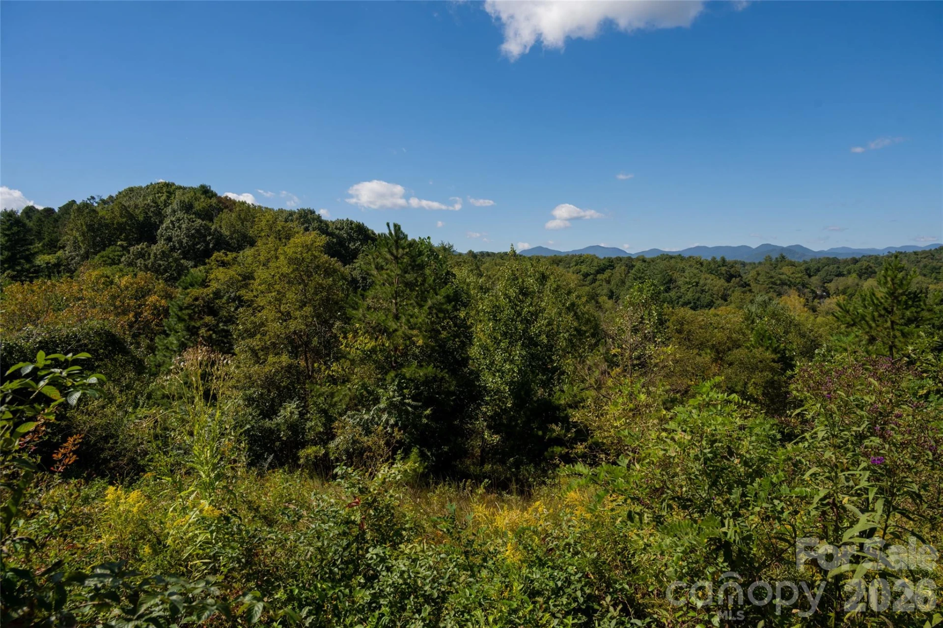68 Sweet Fern Parkway - Photo 9