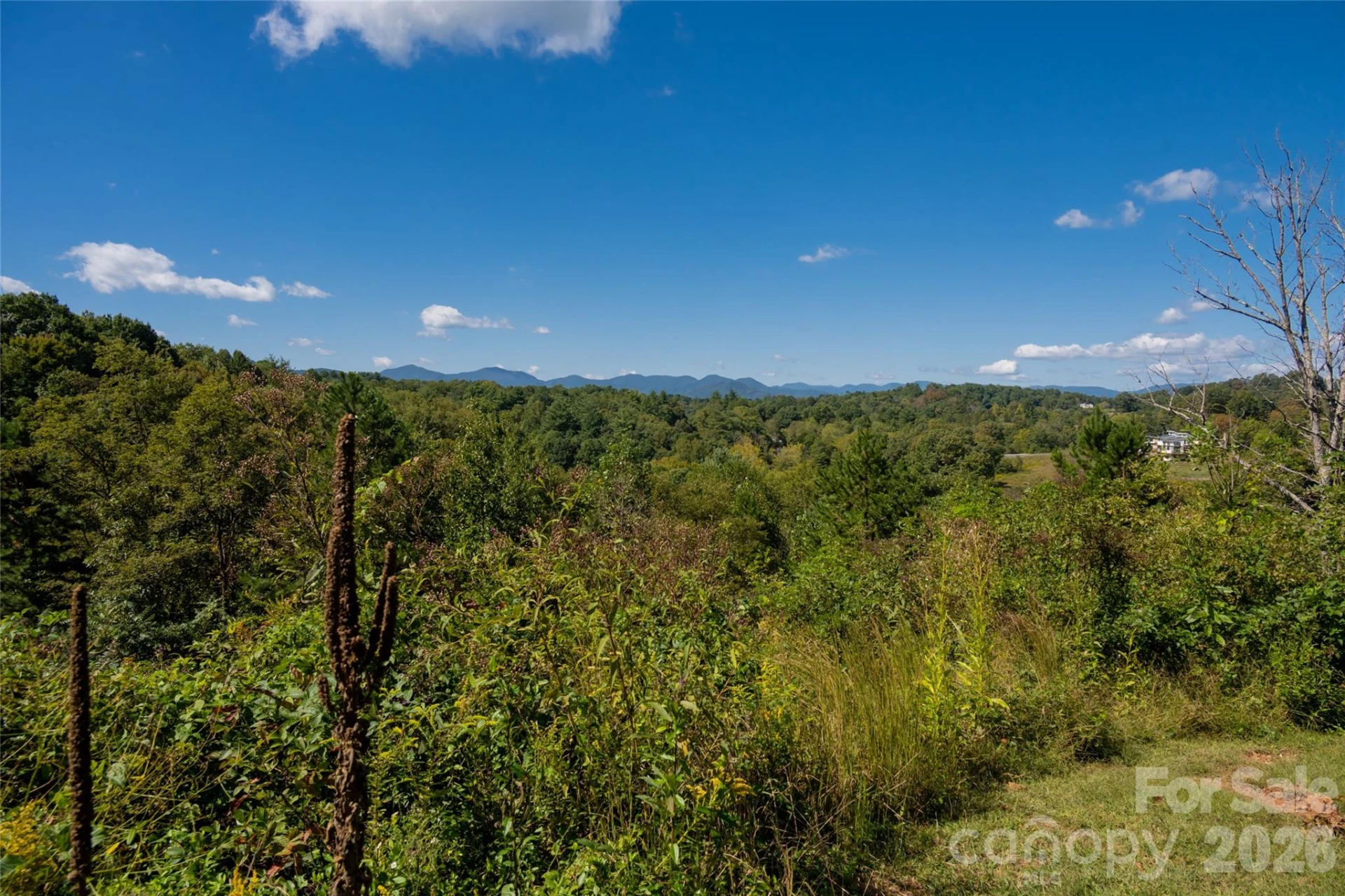 68 Sweet Fern Parkway - Photo 10