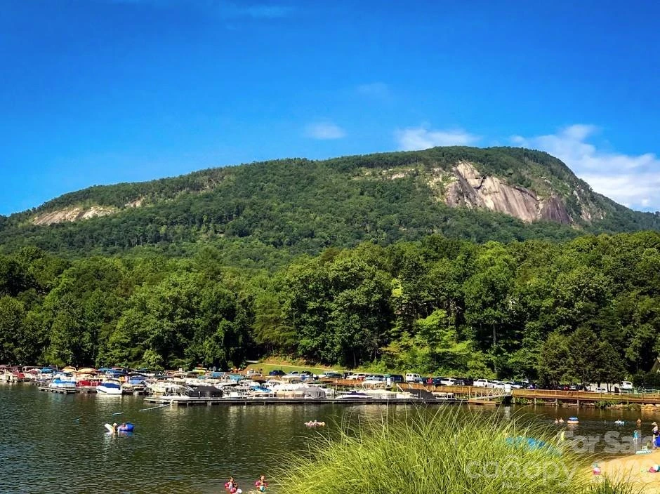 132 Rumbling Bald Road - Photo 44