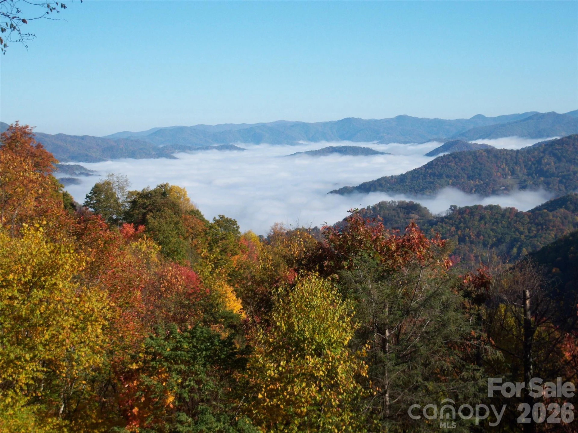 40 Adohi Trail - Photo 2