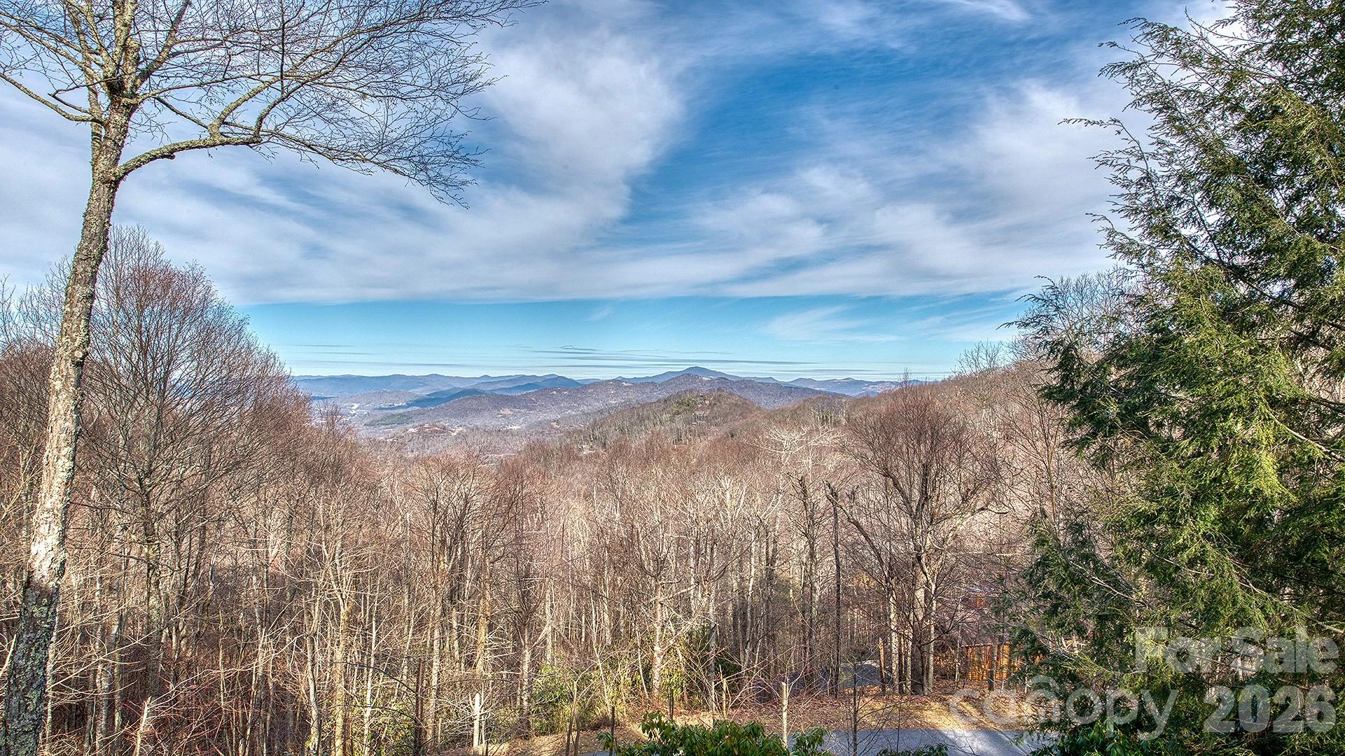 40 Adohi Trail - Photo 15