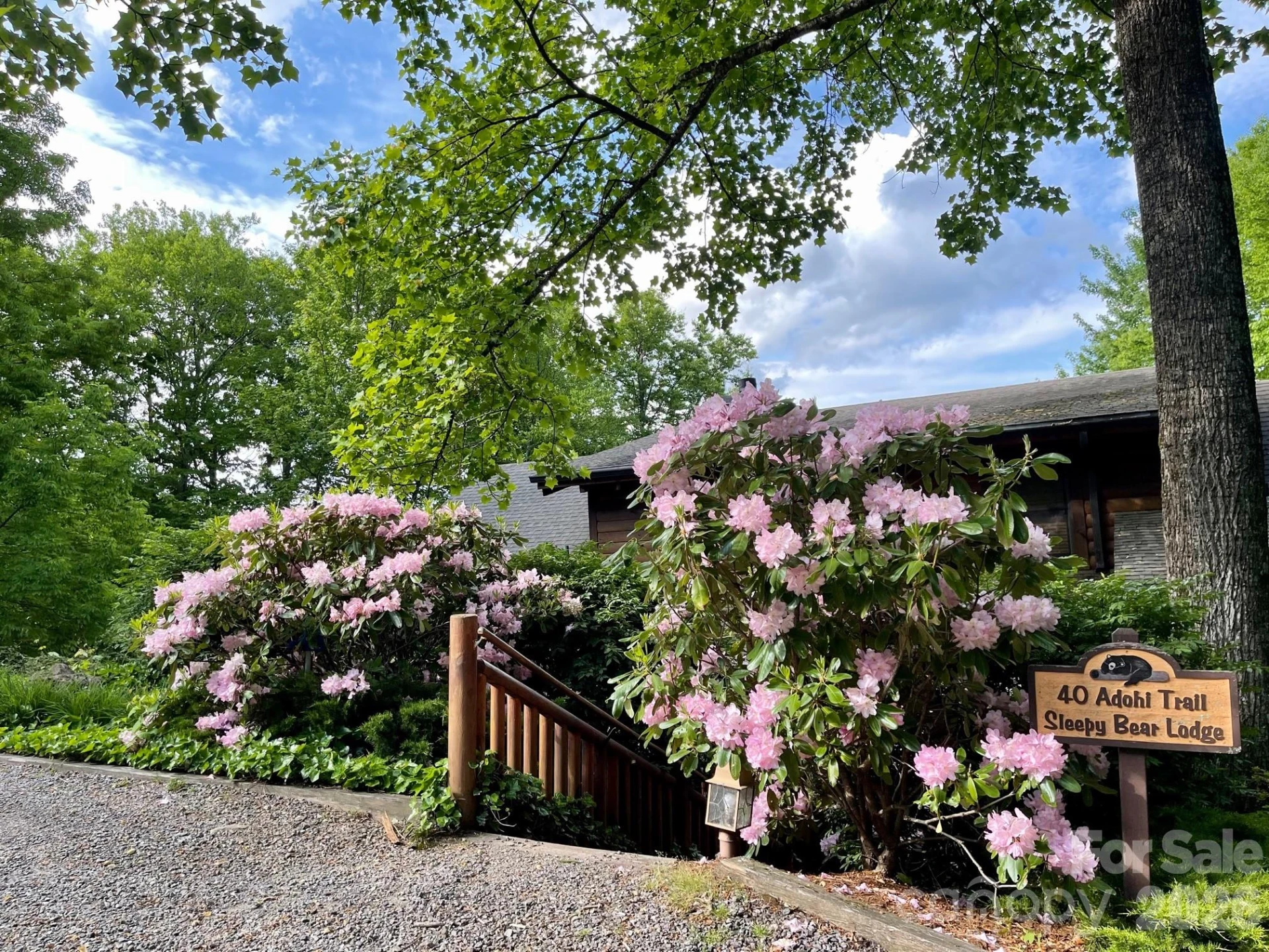 40 Adohi Trail - Photo 16