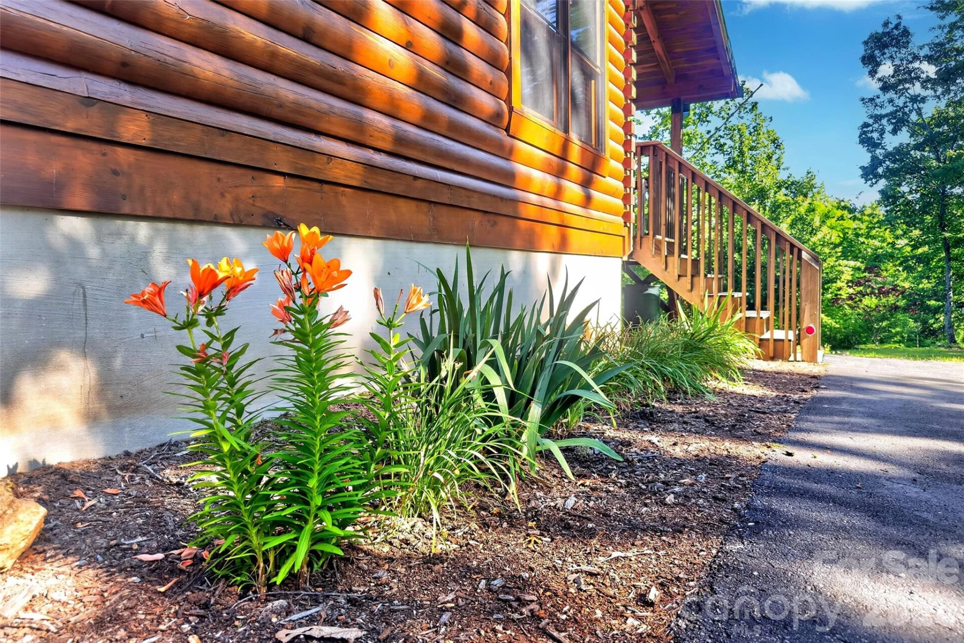 545 Mountain Crest Drive S - Photo 4
