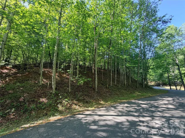 0000 Lakewood Drive, Lake Lure, NC, 28746