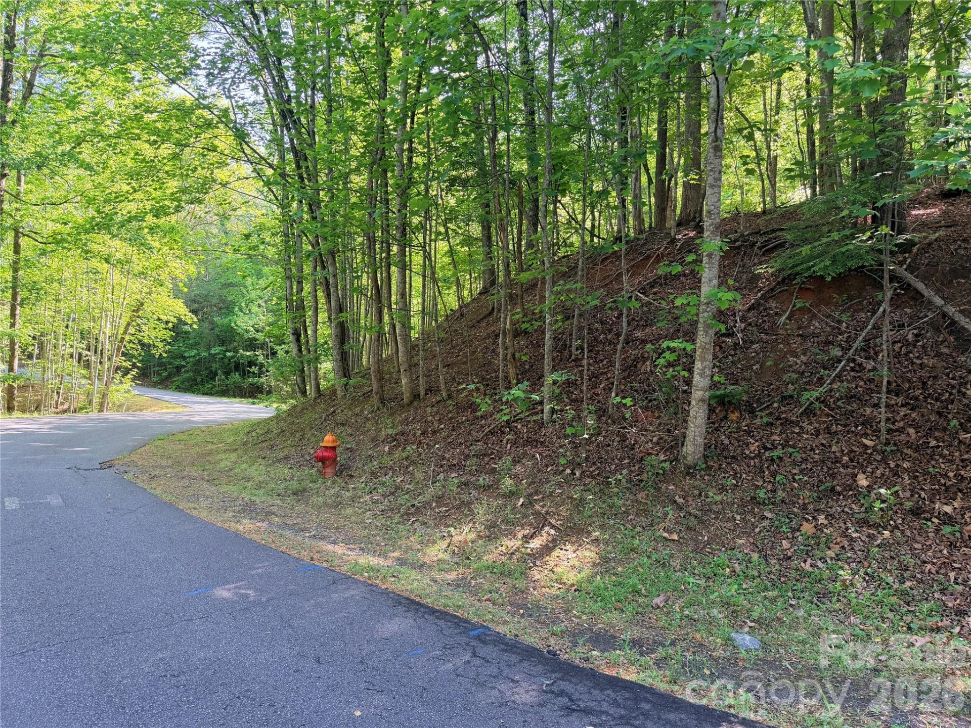 0000 Lakewood Drive - Photo 5
