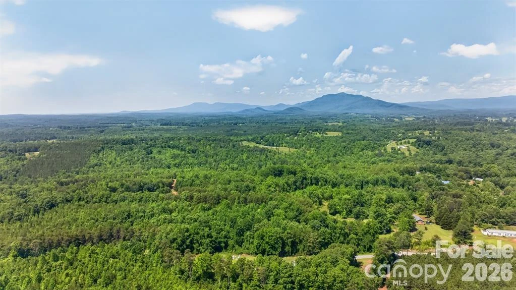 00 Misery Ridge Trail - Photo 37