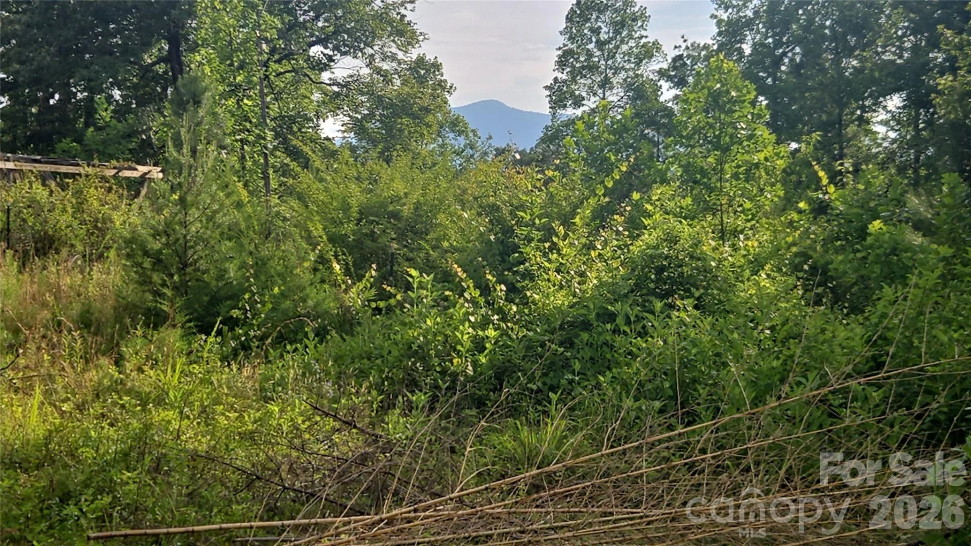 00 Misery Ridge Trail - Photo 46