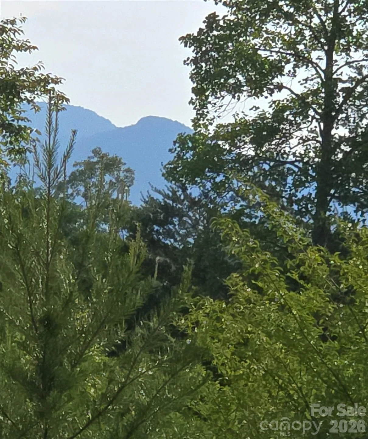 00 Misery Ridge Trail - Photo 8