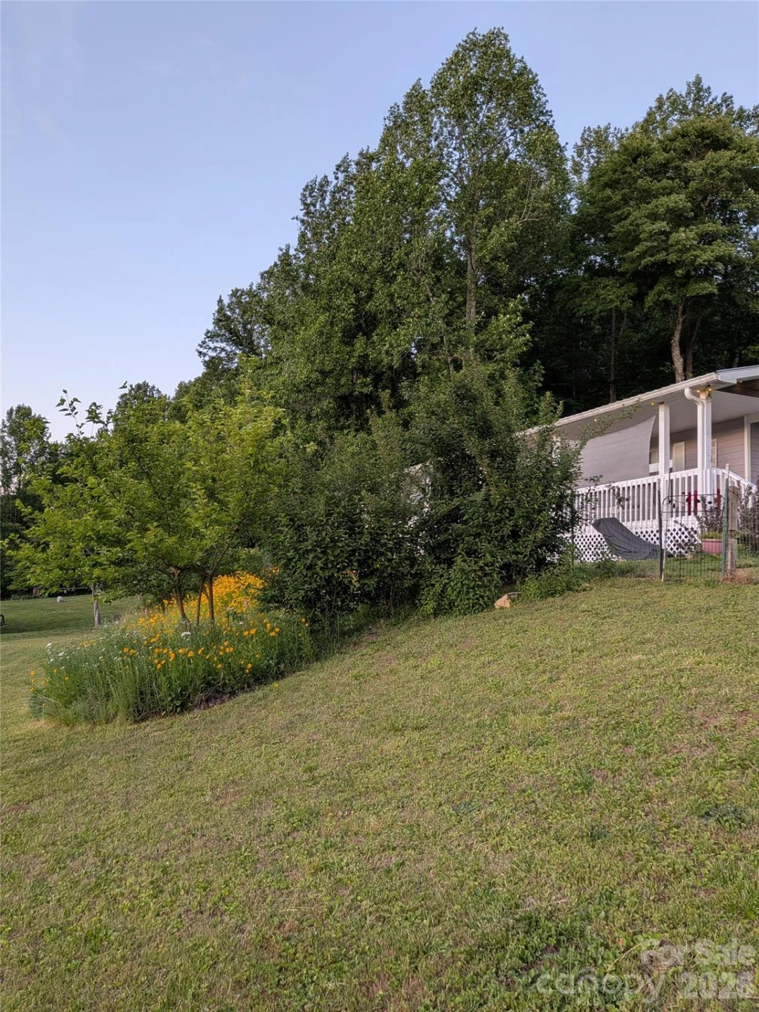 59 Ck Cabin Drive - Photo 34