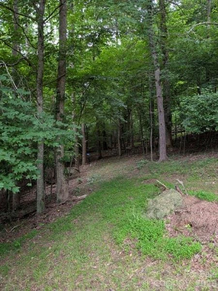 59 Ck Cabin Drive - Photo 46