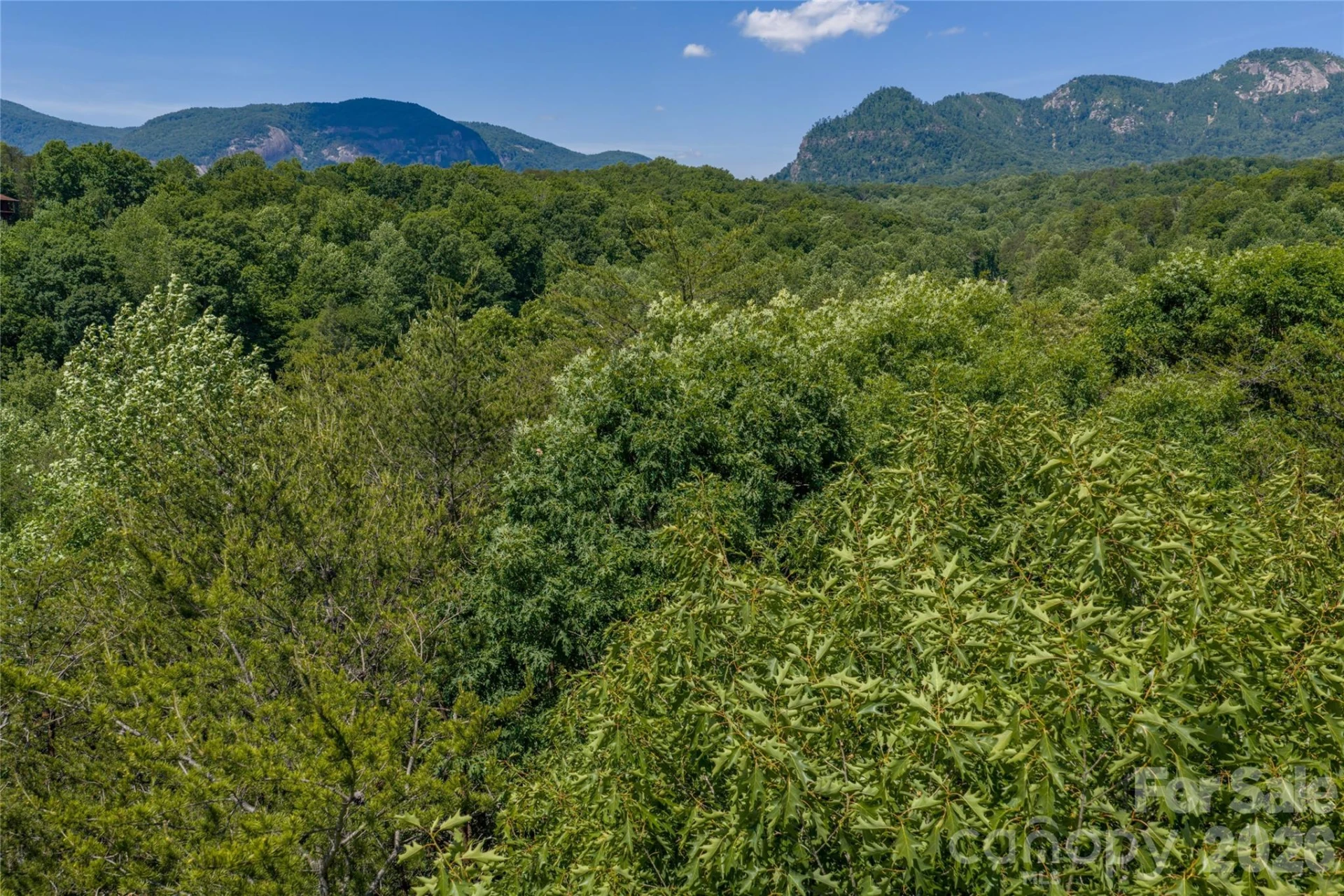 0000 View Trail - Photo 2