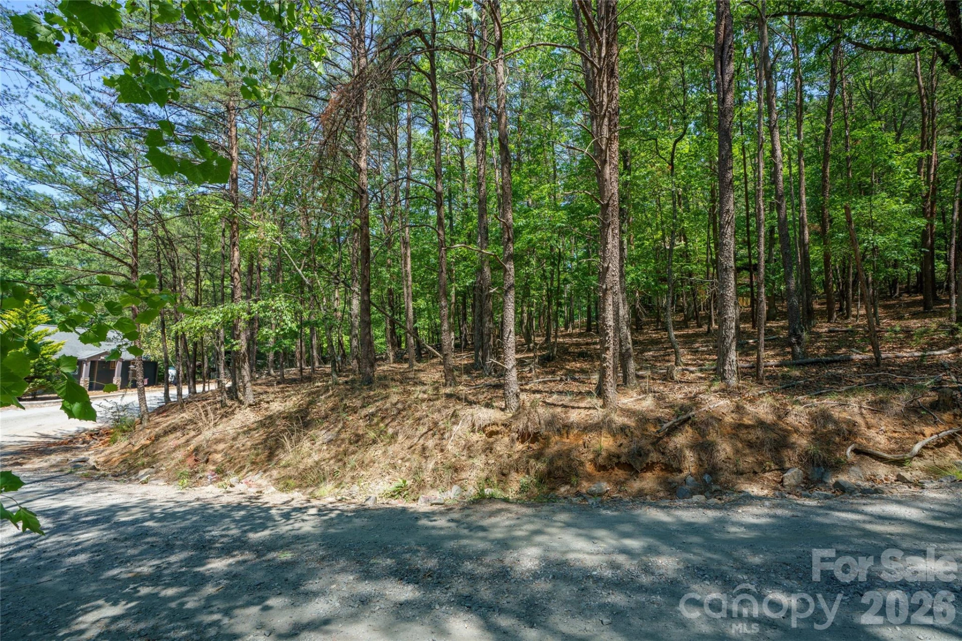 0000 View Trail - Photo 11