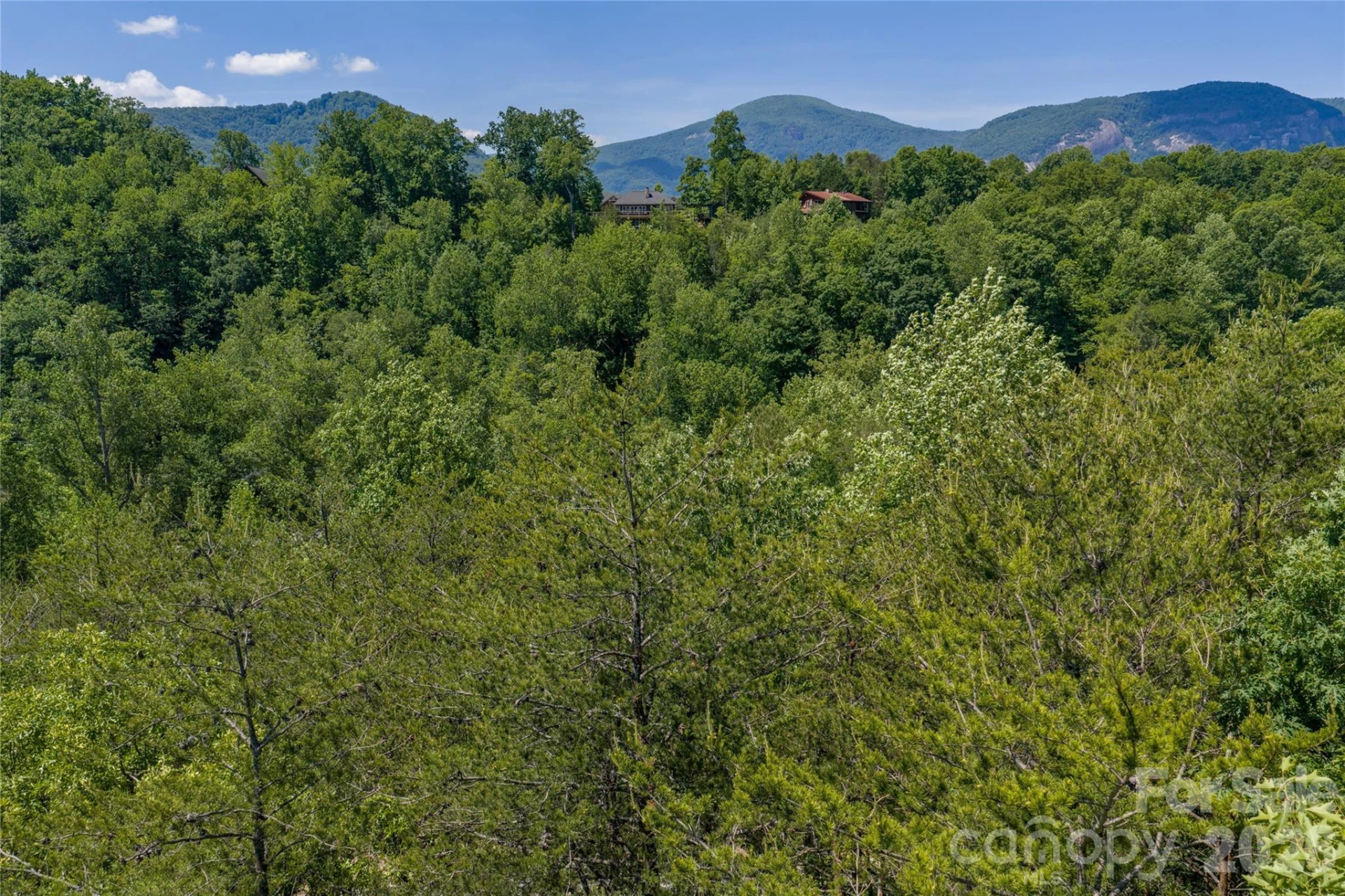 0000 View Trail - Photo 3