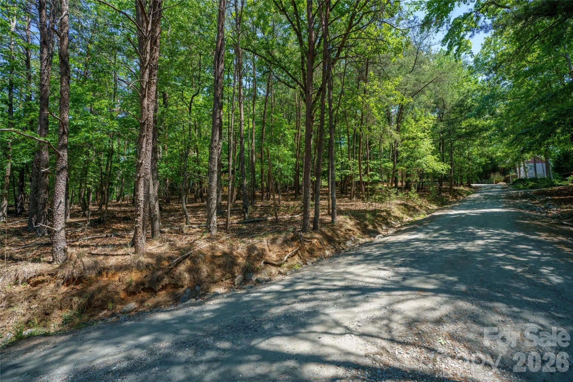 0000 View Trail - Photo 4