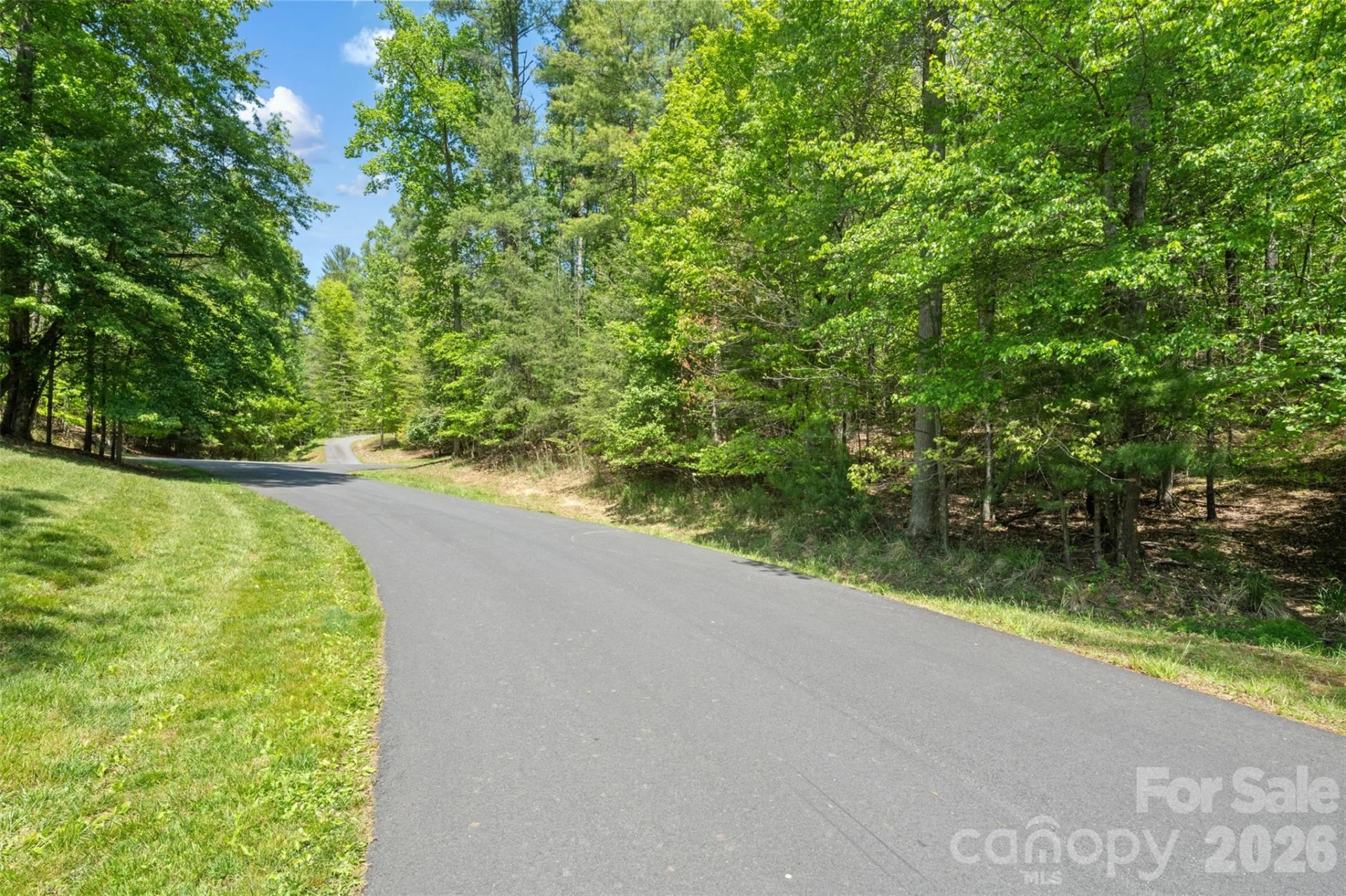 TBD Peddlers Trail #26 - Photo 3