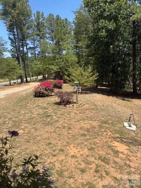 1431 Mountain Creek Road - Photo 13