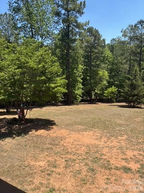 1431 Mountain Creek Road - Photo 15
