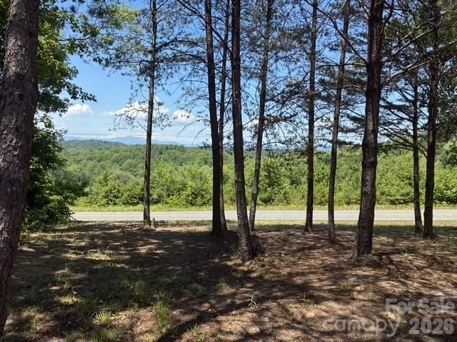 1431 Mountain Creek Road - Photo 5