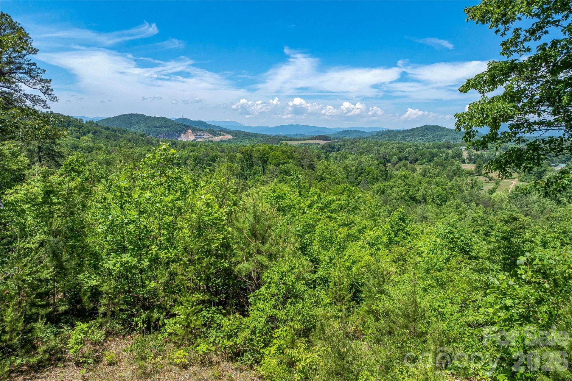 180 Fat Wall Road - Photo 11