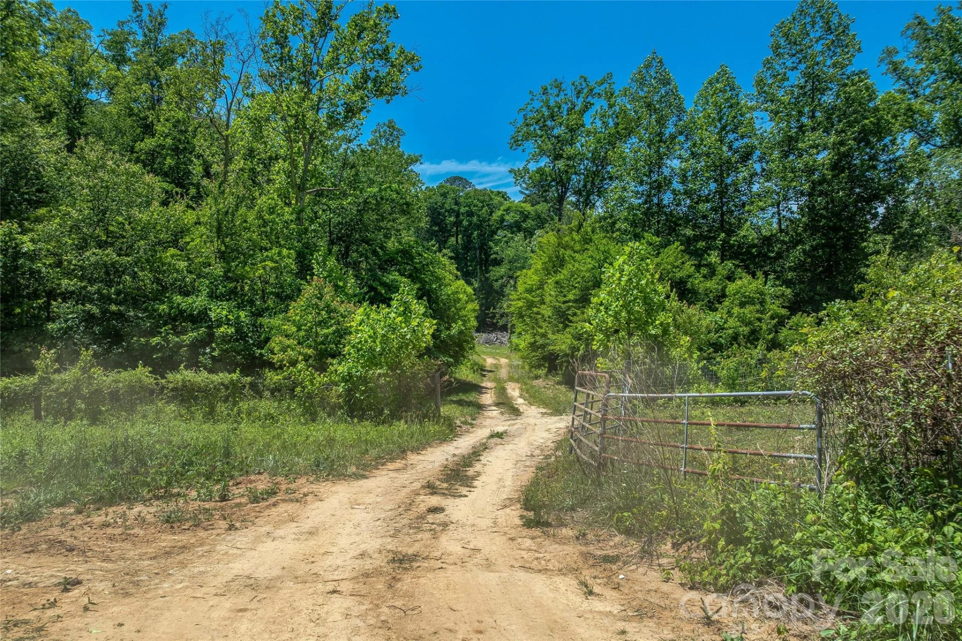 180 Fat Wall Road - Photo 12