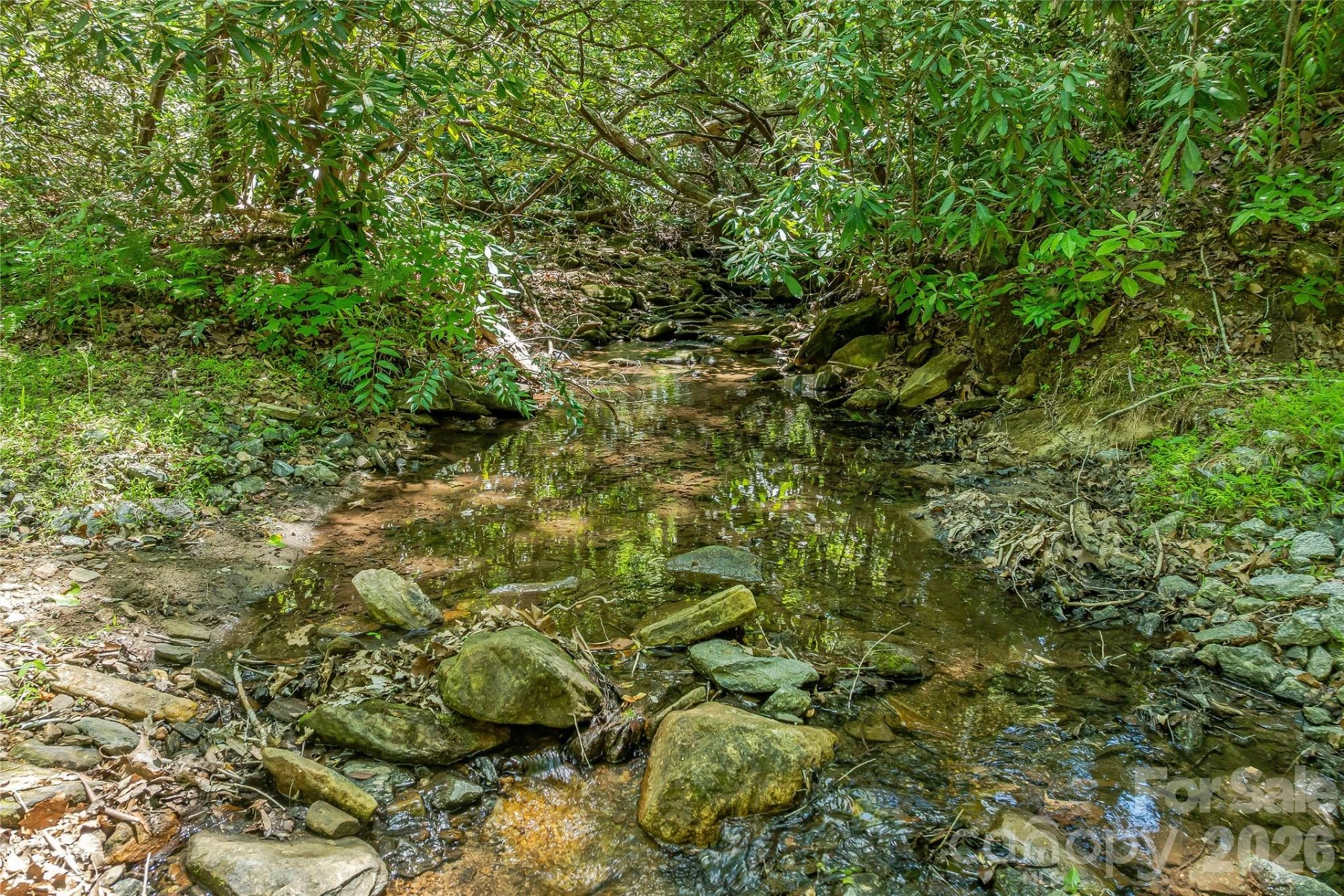 180 Fat Wall Road - Photo 13
