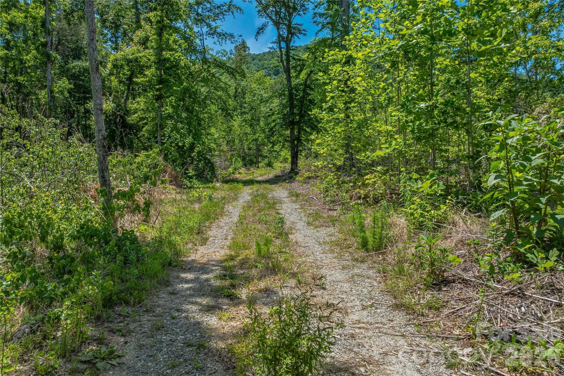 180 Fat Wall Road - Photo 14