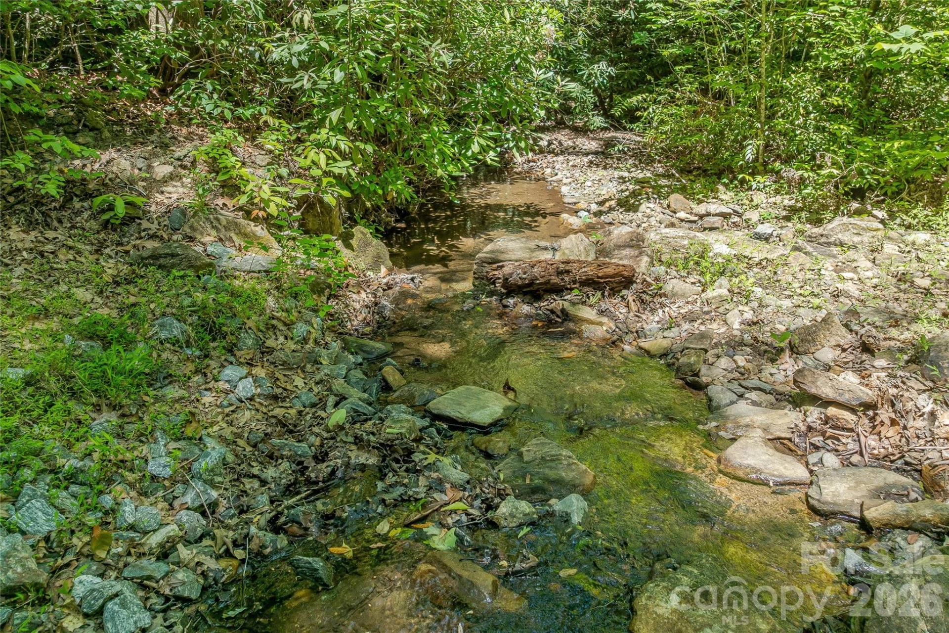 180 Fat Wall Road - Photo 15