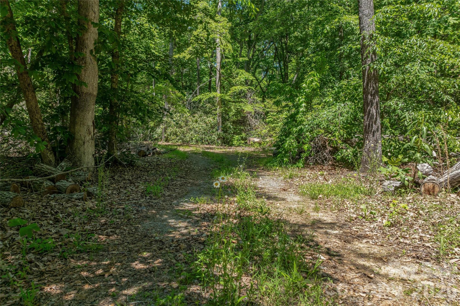 180 Fat Wall Road - Photo 20