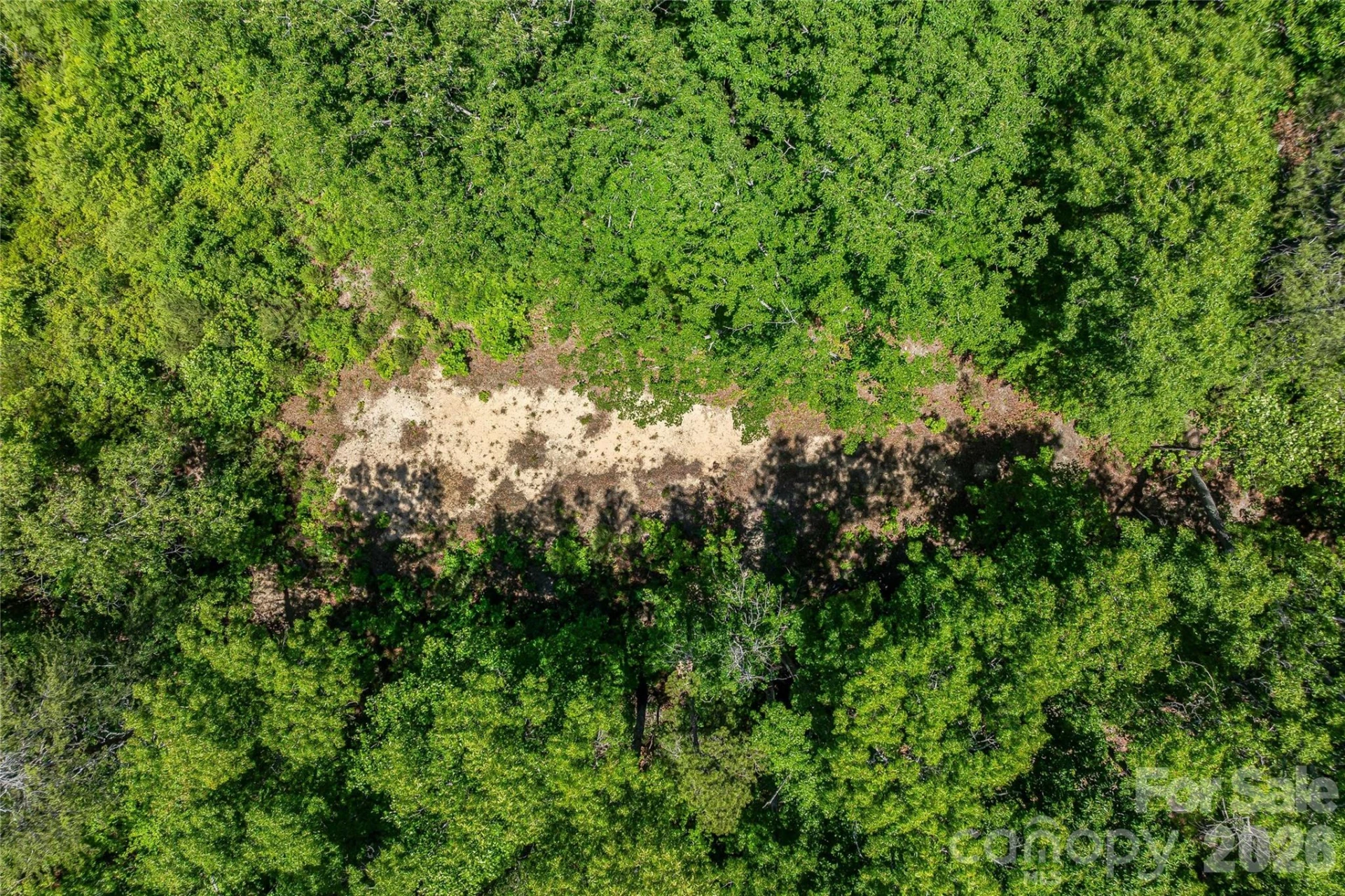 180 Fat Wall Road - Photo 21
