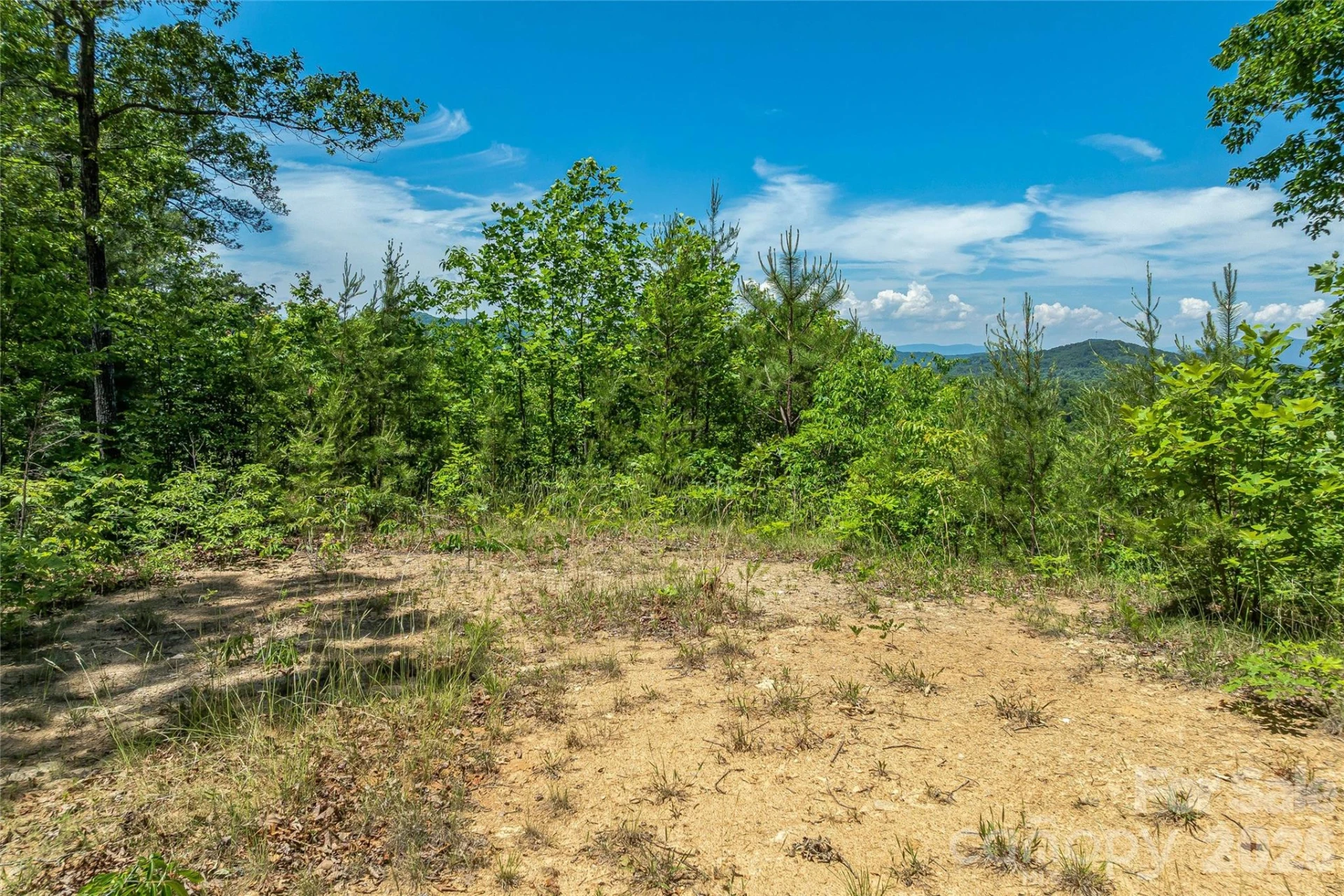 180 Fat Wall Road - Photo 22