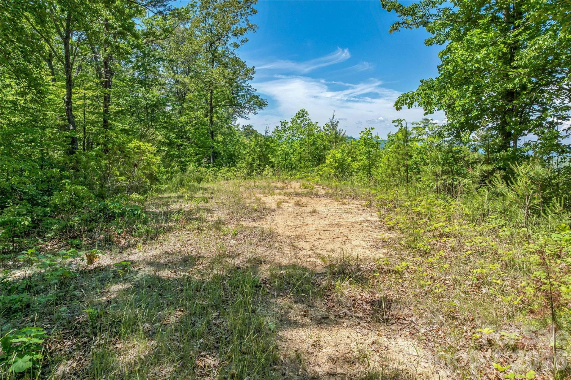 180 Fat Wall Road - Photo 23