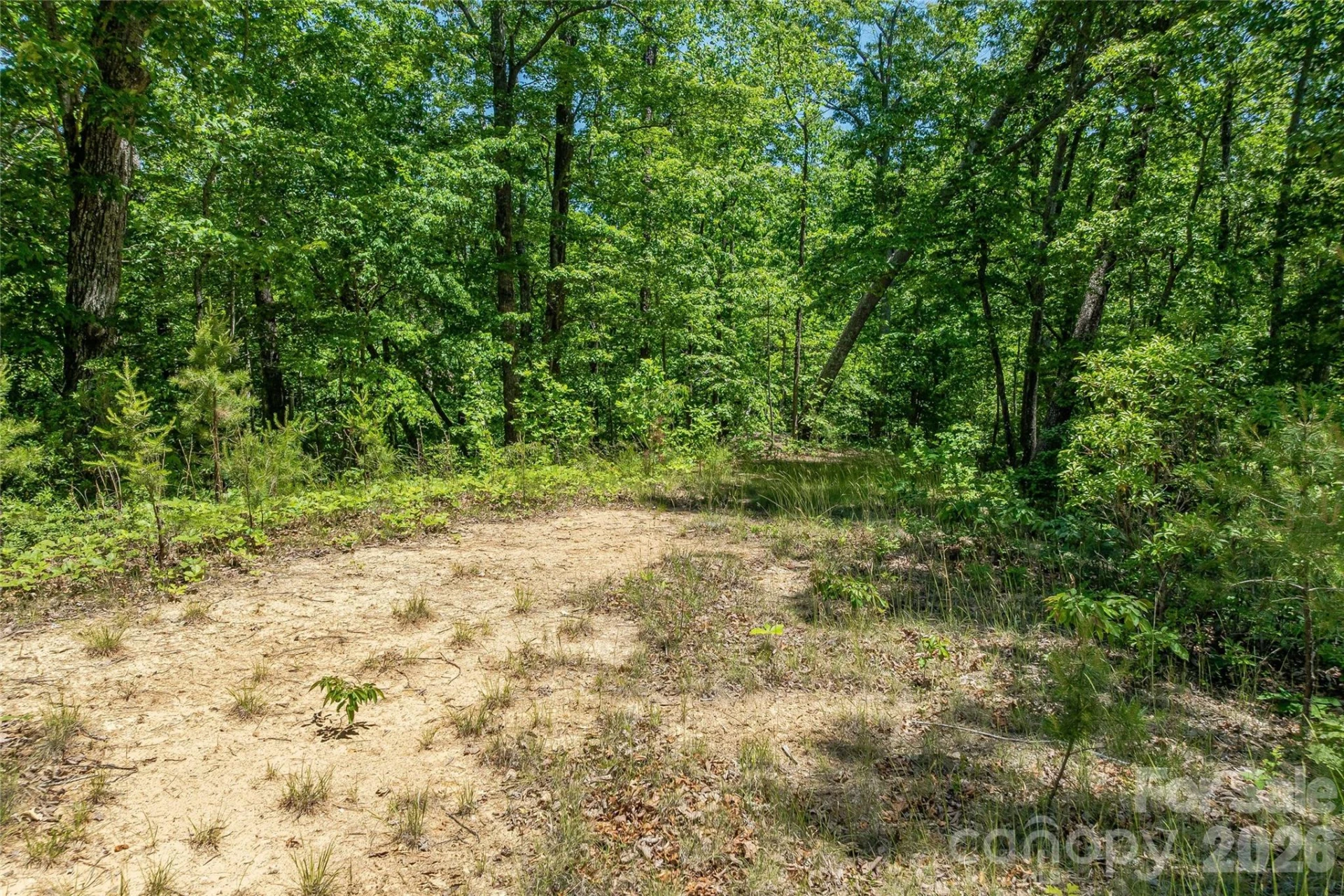 180 Fat Wall Road - Photo 24