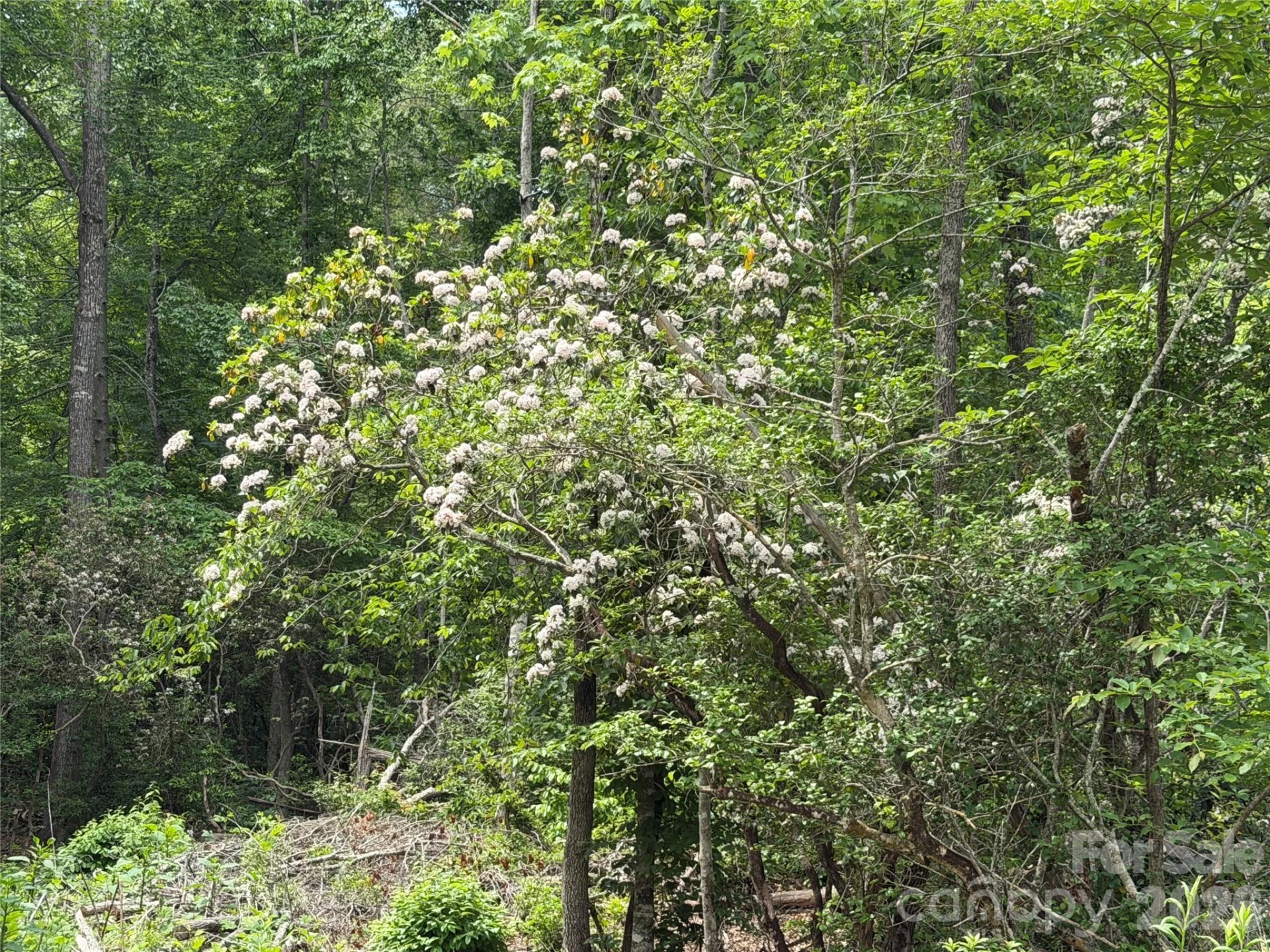 180 Fat Wall Road - Photo 26