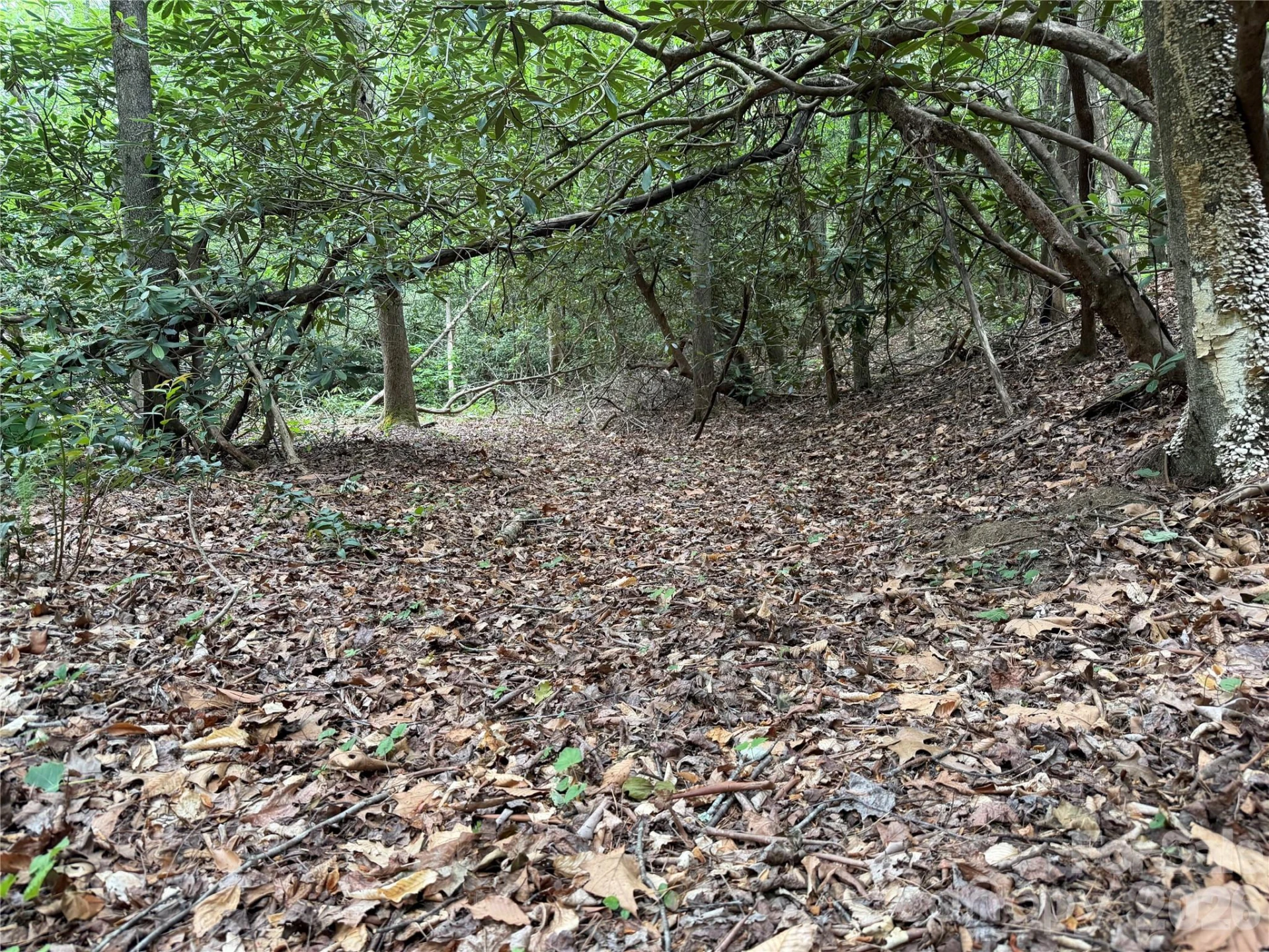 180 Fat Wall Road - Photo 30
