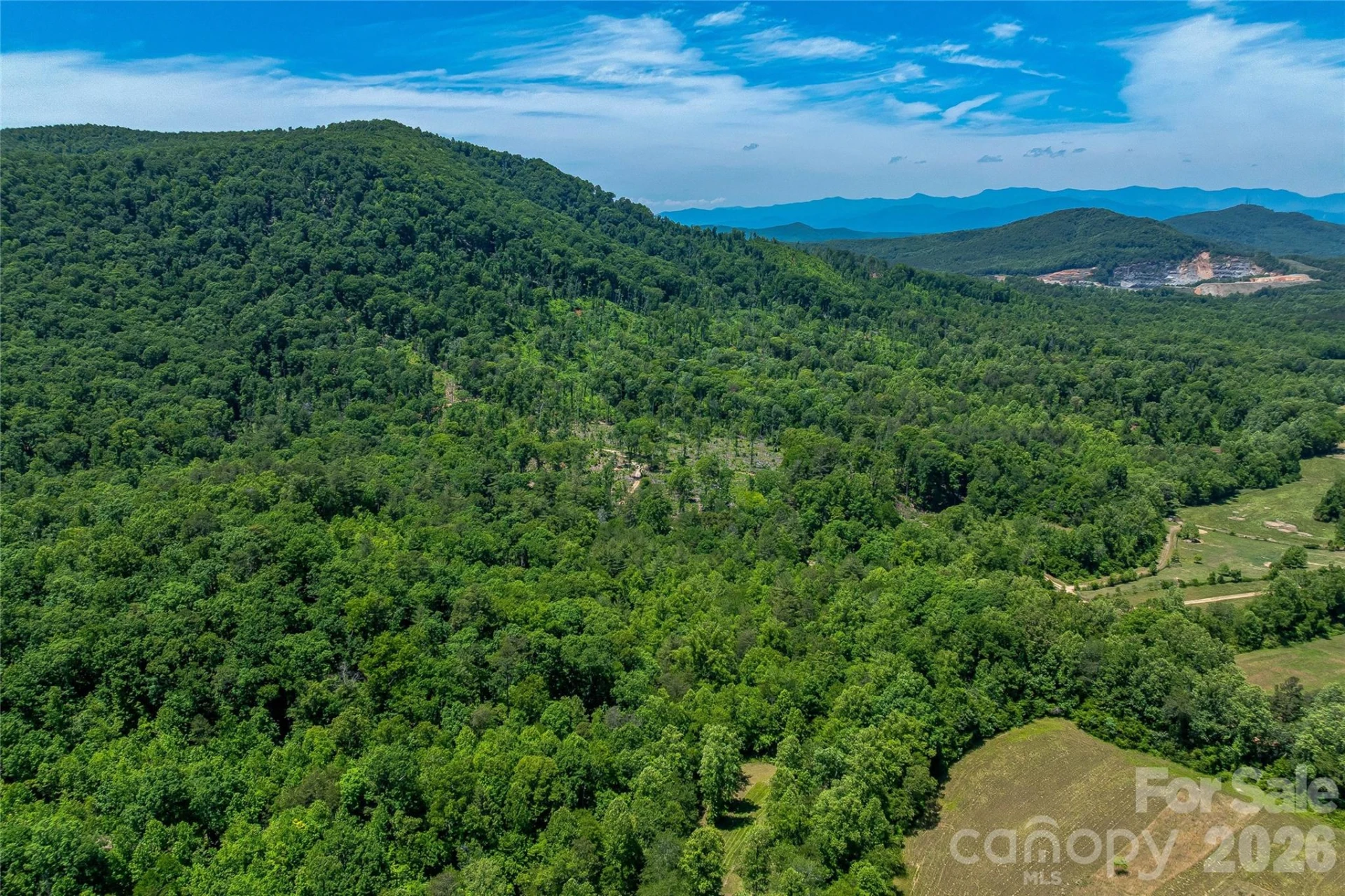 180 Fat Wall Road - Photo 31