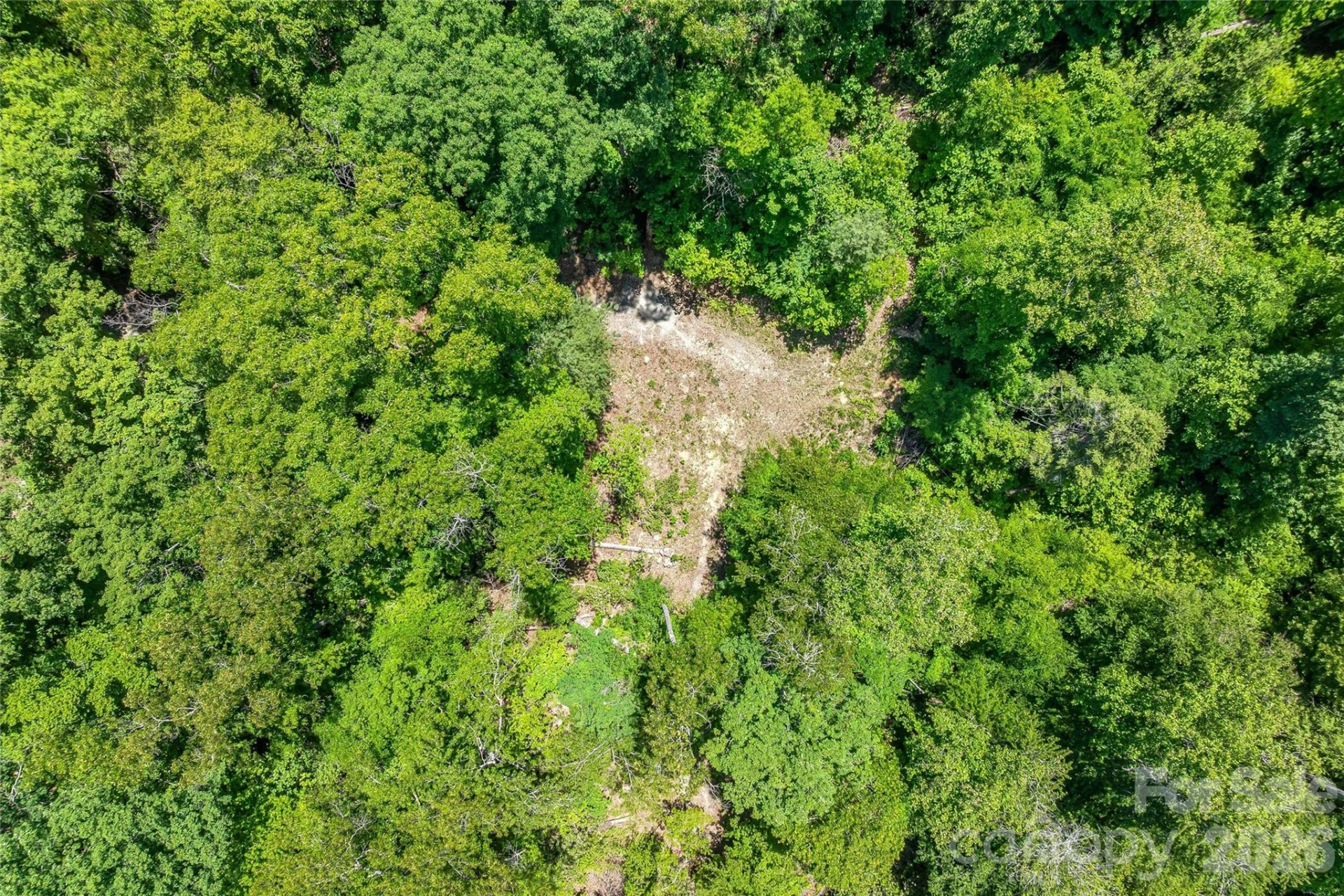 180 Fat Wall Road - Photo 7