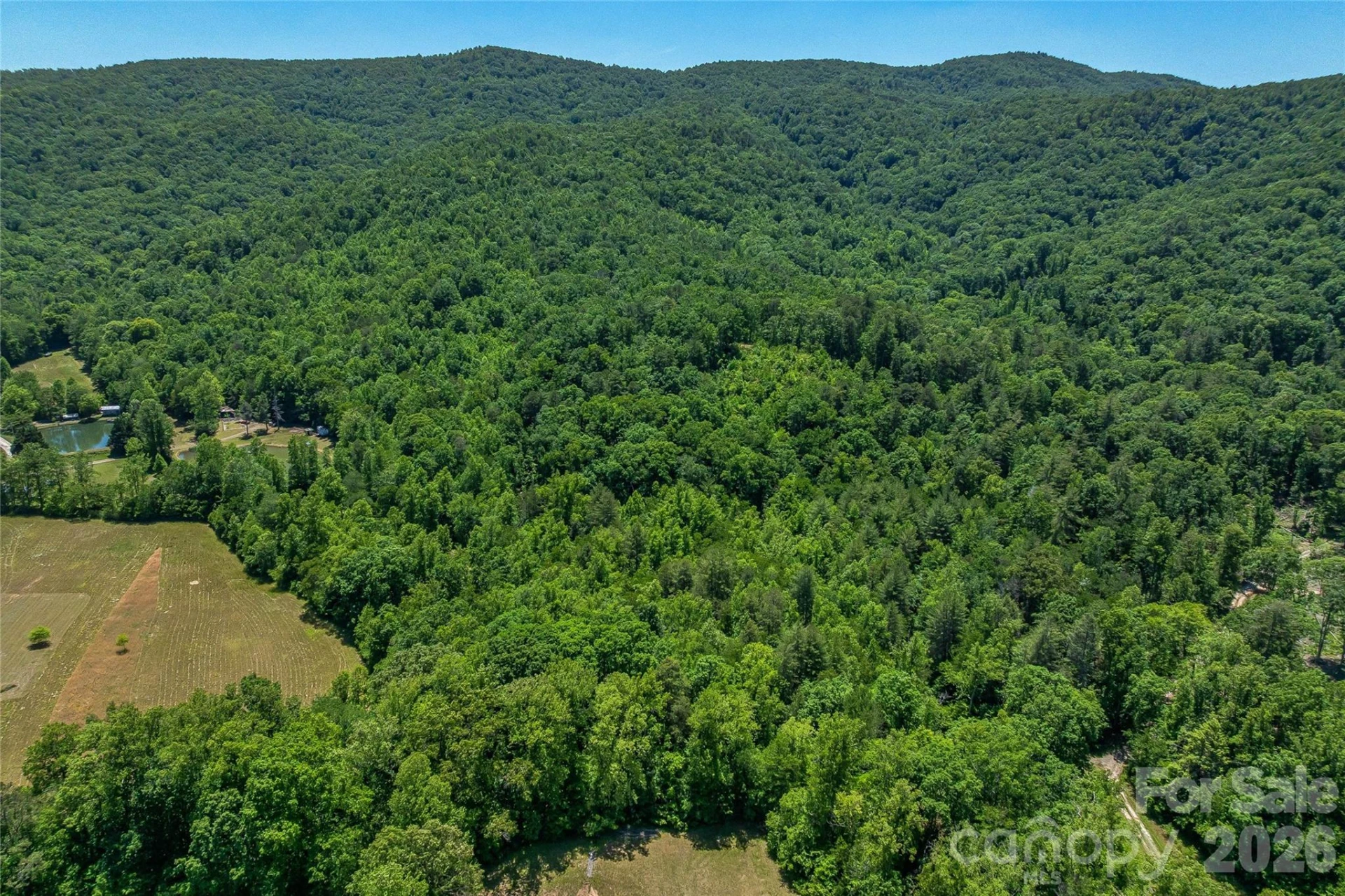 180 Fat Wall Road - Photo 10