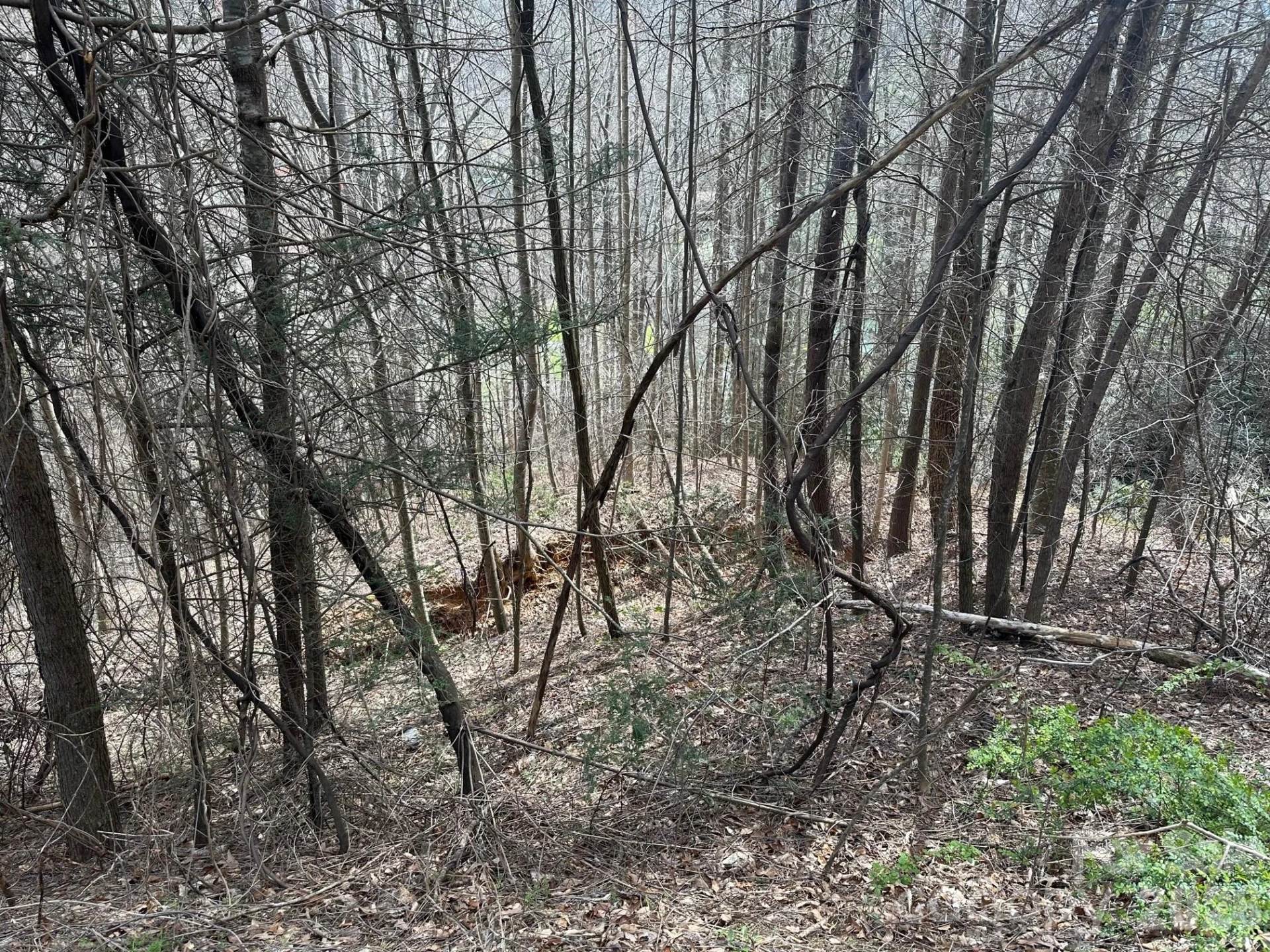 0 Tuckaway Ridge Drive - Photo 3