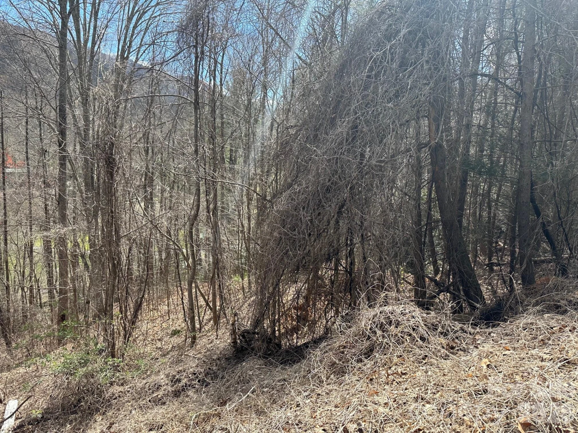 0 Tuckaway Ridge Drive - Photo 4