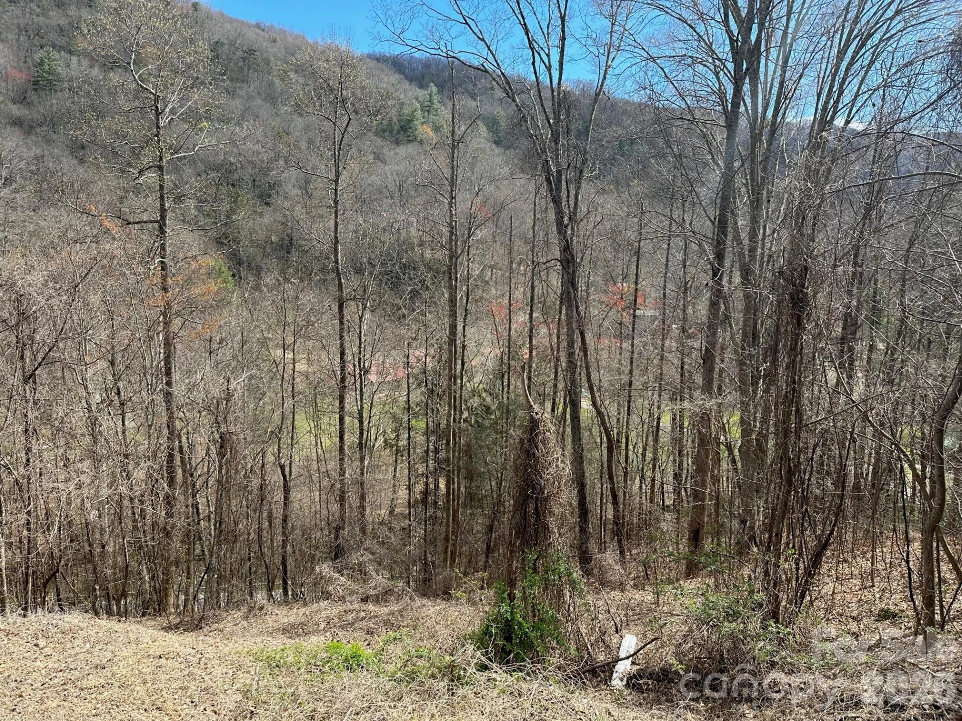 0 Tuckaway Ridge Drive - Photo 5
